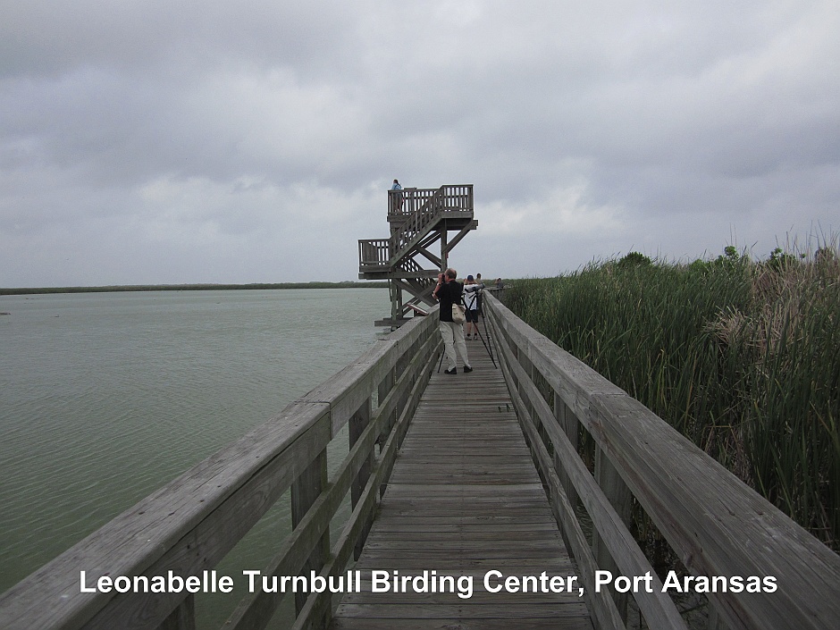 Leonabelle Turnbull Birding Center, Port Aransas